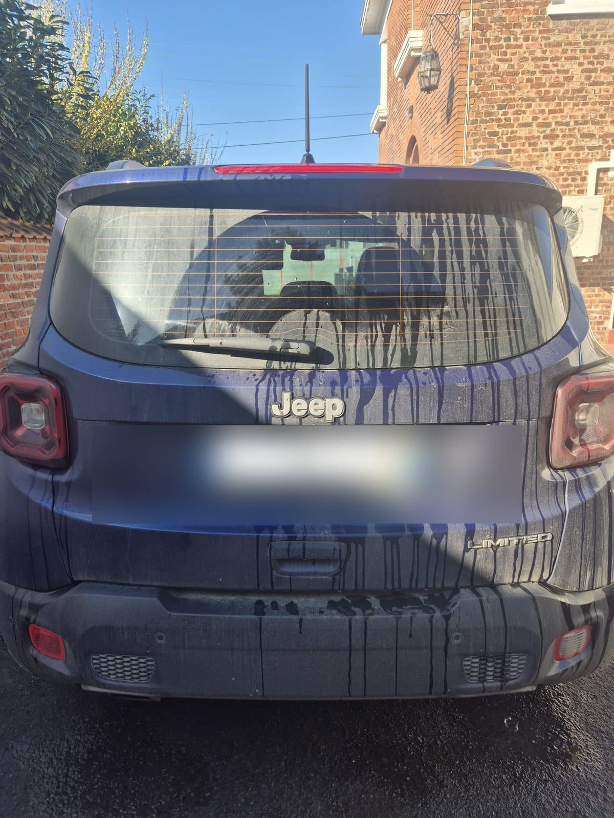 Avant - Lavage extérieur Jeep Renegade