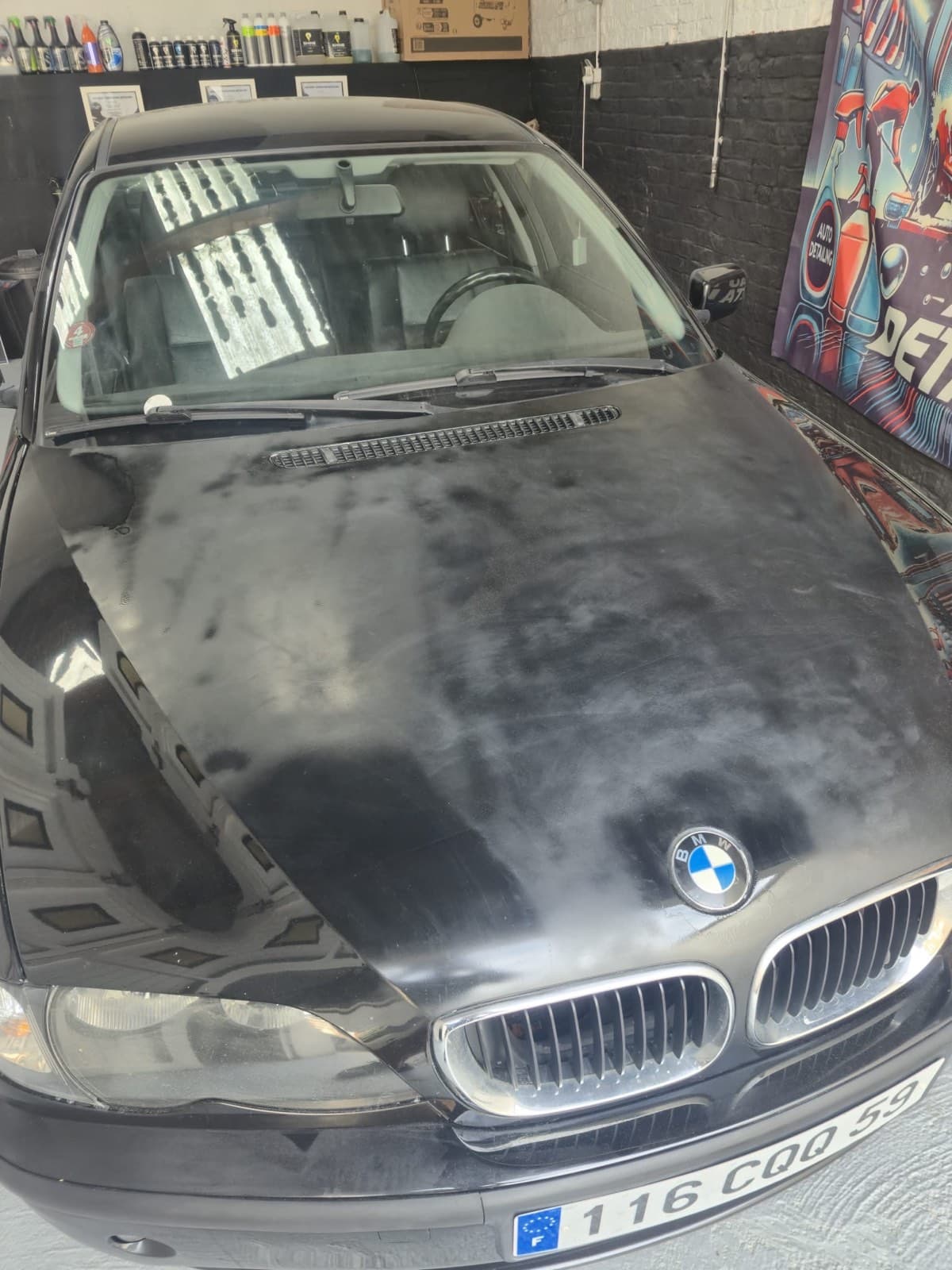 Avant - Polissage capot BMW micro-rayures et pollen éliminés